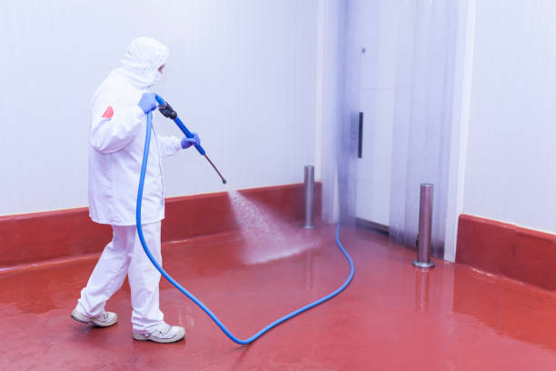 Best Driveway Pressure Washing  in Atlanta, TX